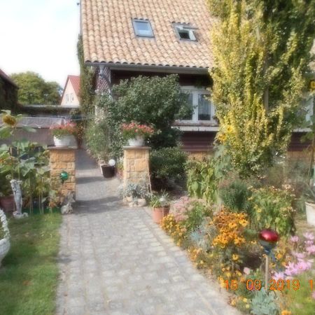 Vermiete Sehr Schoenes Apartment In Dankerode Im Harz 외부 사진