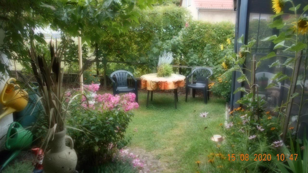 Vermiete Sehr Schoenes Apartment In Dankerode Im Harz 외부 사진