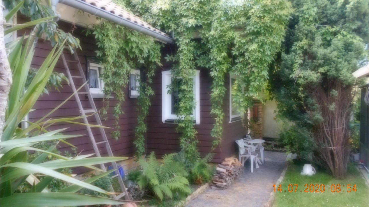 Vermiete Sehr Schoenes Apartment In Dankerode Im Harz 외부 사진
