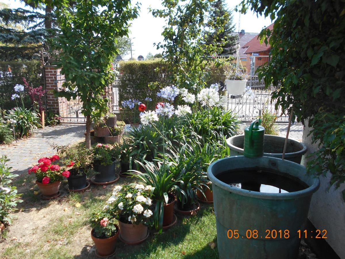 Vermiete Sehr Schoenes Apartment In Dankerode Im Harz 외부 사진